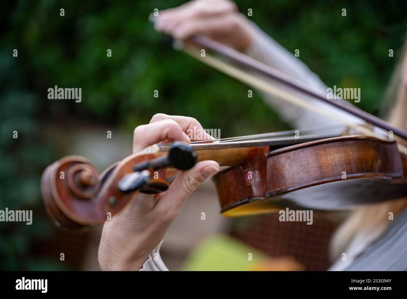 Un dettaglio dettagliato delle mani di un violinista mentre suona abilmente il violino, concentrandosi sull'arco e sulle corde, su uno sfondo verde lussureggiante. Foto Stock