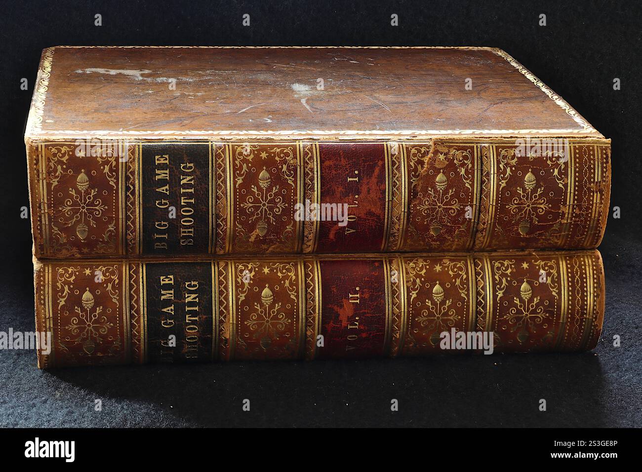 Libro antiquario: Big Game Shooting di Clive Phillips-Wolley, volumi 1 e 2, decorazione dorsale dorata. Rilegatura in pelle rigida. Foto Stock