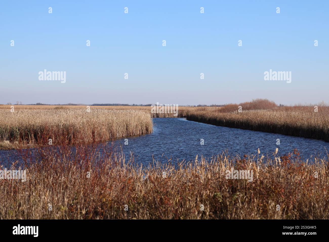 stretto canale di acque aperte blu profonde che si intersecano con un canale più grande nella palude della prateria in autunno Foto Stock
