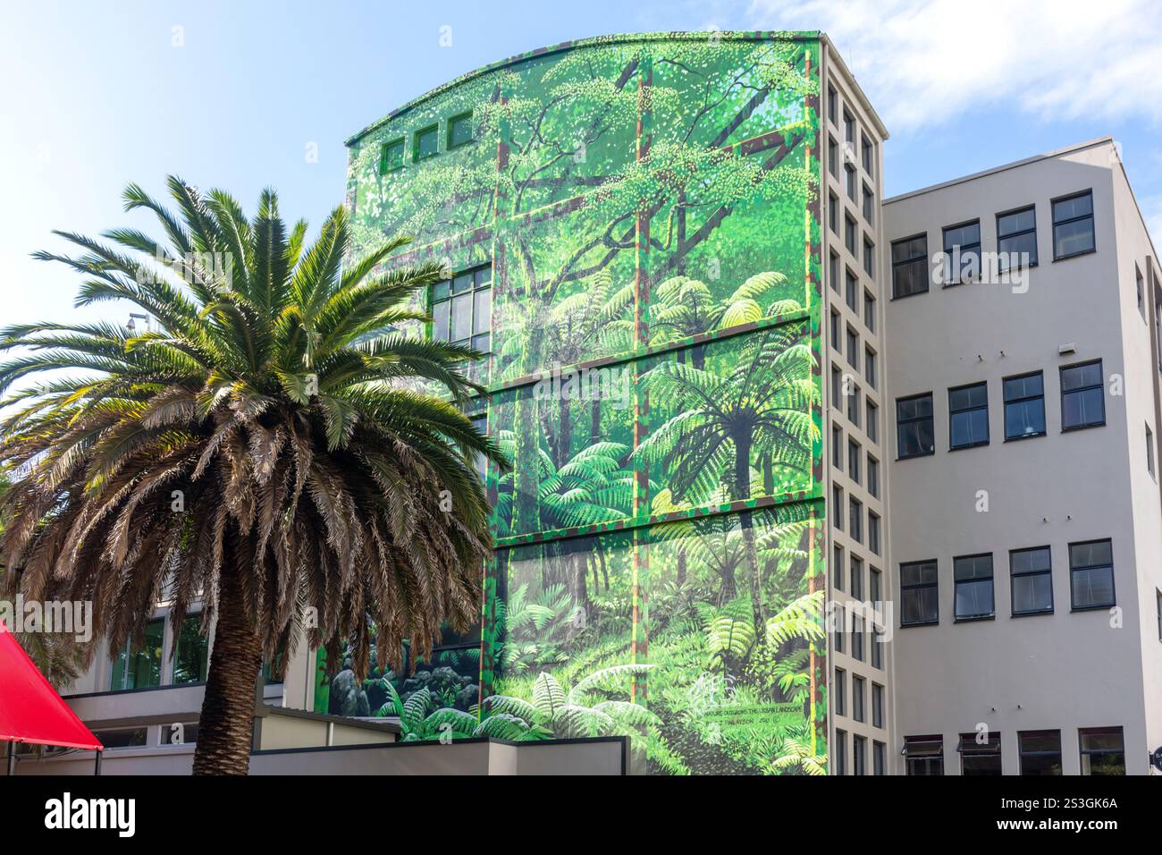 Murale della foresta pluviale neozelandese sul lato dell’edificio, Selwyn Place, Nelson City (Whakatū), Nelson Region, South Island, nuova Zelanda Foto Stock