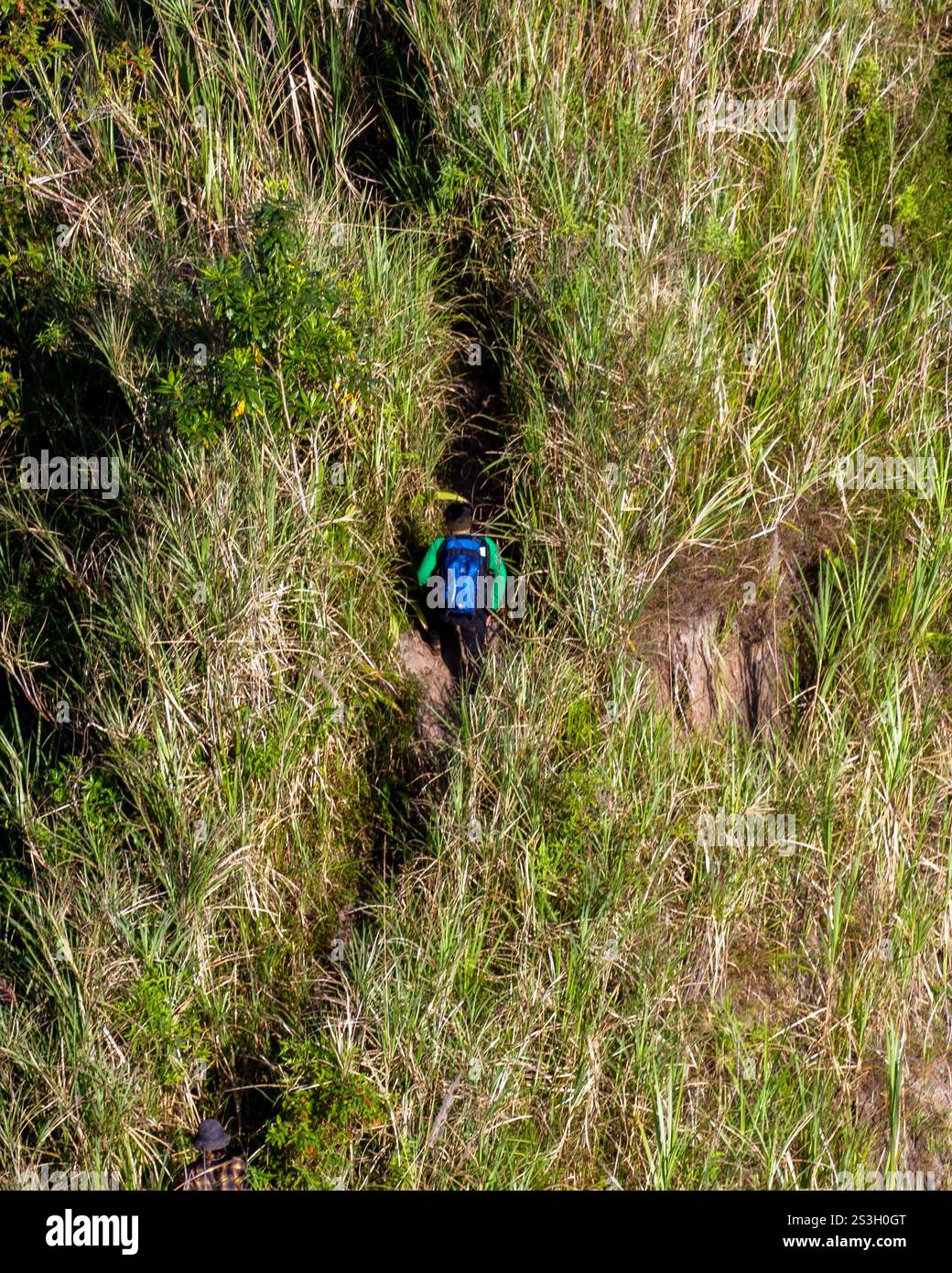 vista aerea del trekking di un giovane nella foresta naturale Foto Stock
