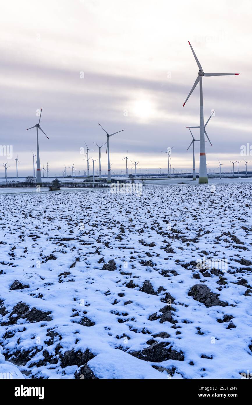 Parco eolico, a nord di Lichtenau, autoproclamata città energetica, oltre 190 turbine eoliche e oltre 1200 pannelli solari generano una quantità di elettricità 10 volte superiore a quella Foto Stock