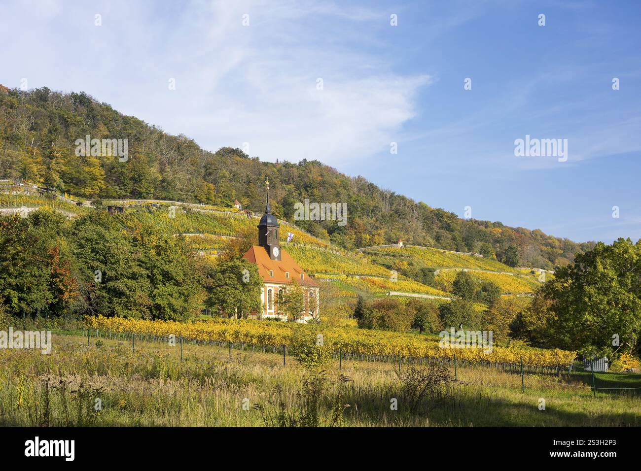 La chiesa dei vigneti in autunno nel vigneto, Pillnitz, Dresda, Sassonia, Germania, Europa Foto Stock