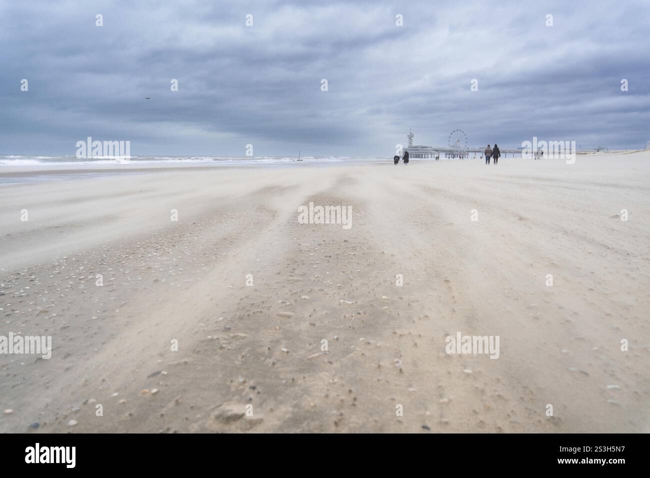 Camminatori in una forte tempesta il giorno di Capodanno a Scheveningen, l'Aia, Paesi Bassi Foto Stock Camminatori in una forte tempesta il giorno di Capodanno a Scheveningen, l'Aia, Paesi Bassi Foto Stock