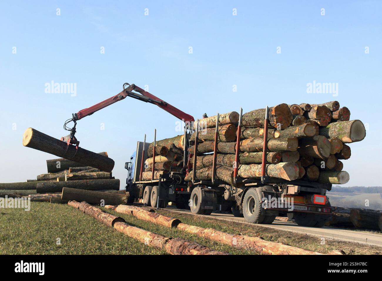 Gli addetti alla silvicoltura caricano tronchi di alberi con una gru Foto Stock