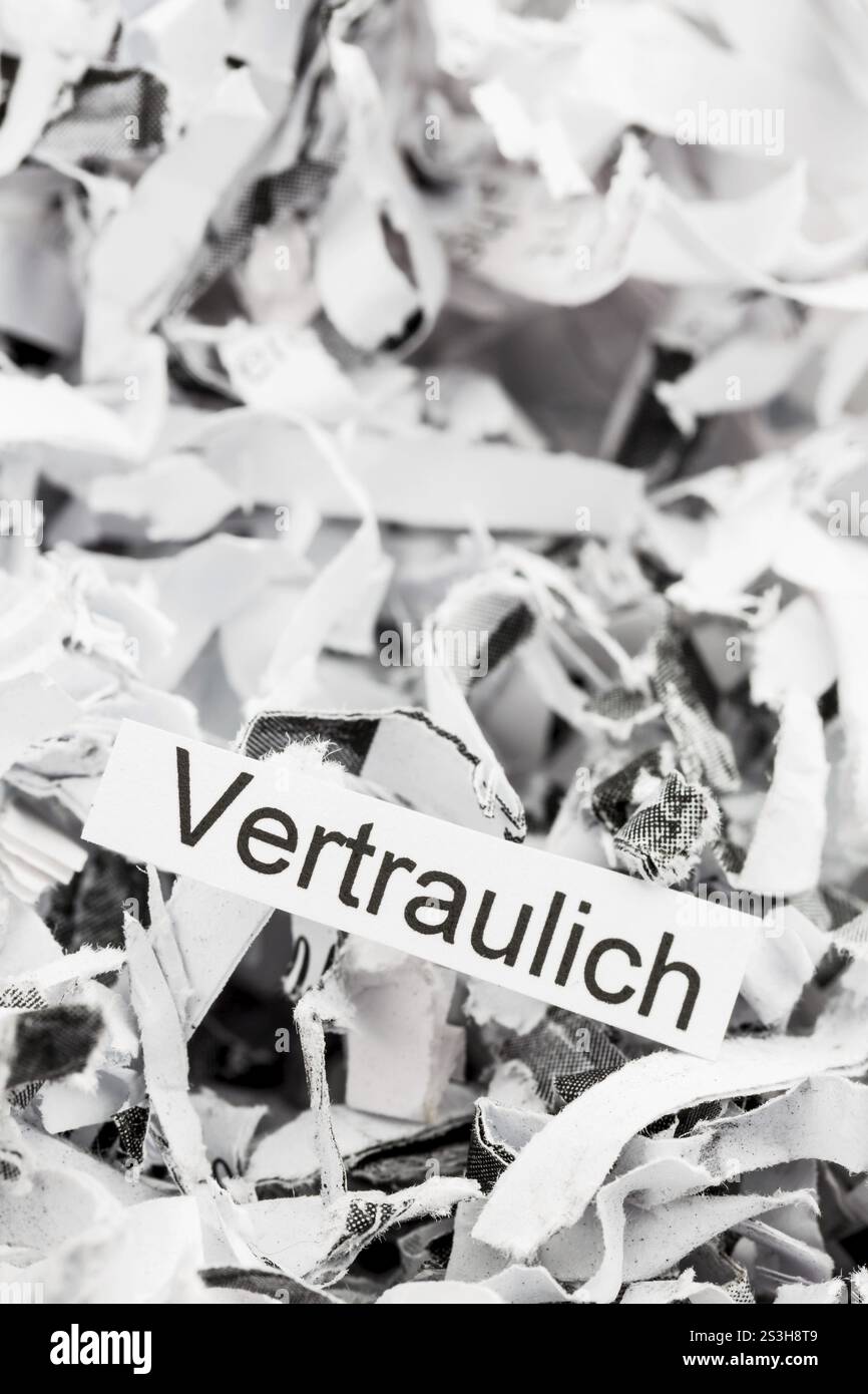 La carta si spezza con la parola chiave Confidential, foto simbolica per la distruzione dei dati e la riservatezza Austria Foto Stock