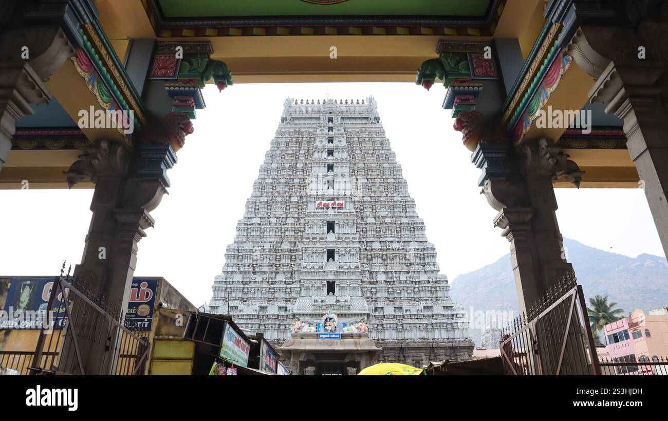 Veduta di Gopuram del Tempio di Arulmigu Annamalaiyar, del Tempio della Dinastia Chola del IX secolo chiamato anche Tempio di Arunachaleshwar, Thiruvannamalai, Tamil Nadu, India. Foto Stock