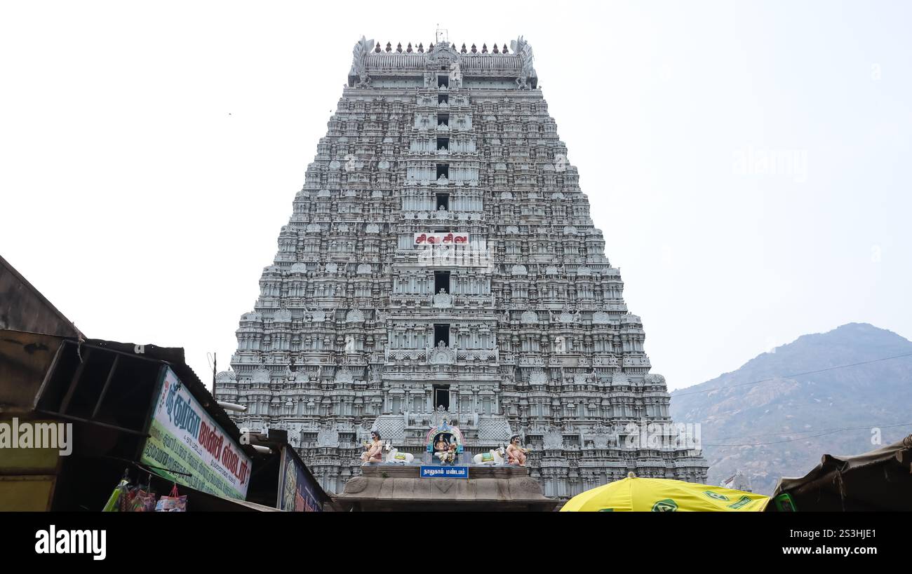 Veduta di Gopuram del Tempio di Arulmigu Annamalaiyar, del Tempio della Dinastia Chola del IX secolo chiamato anche Tempio di Arunachaleshwar, Thiruvannamalai, Tamil Nadu, India. Foto Stock