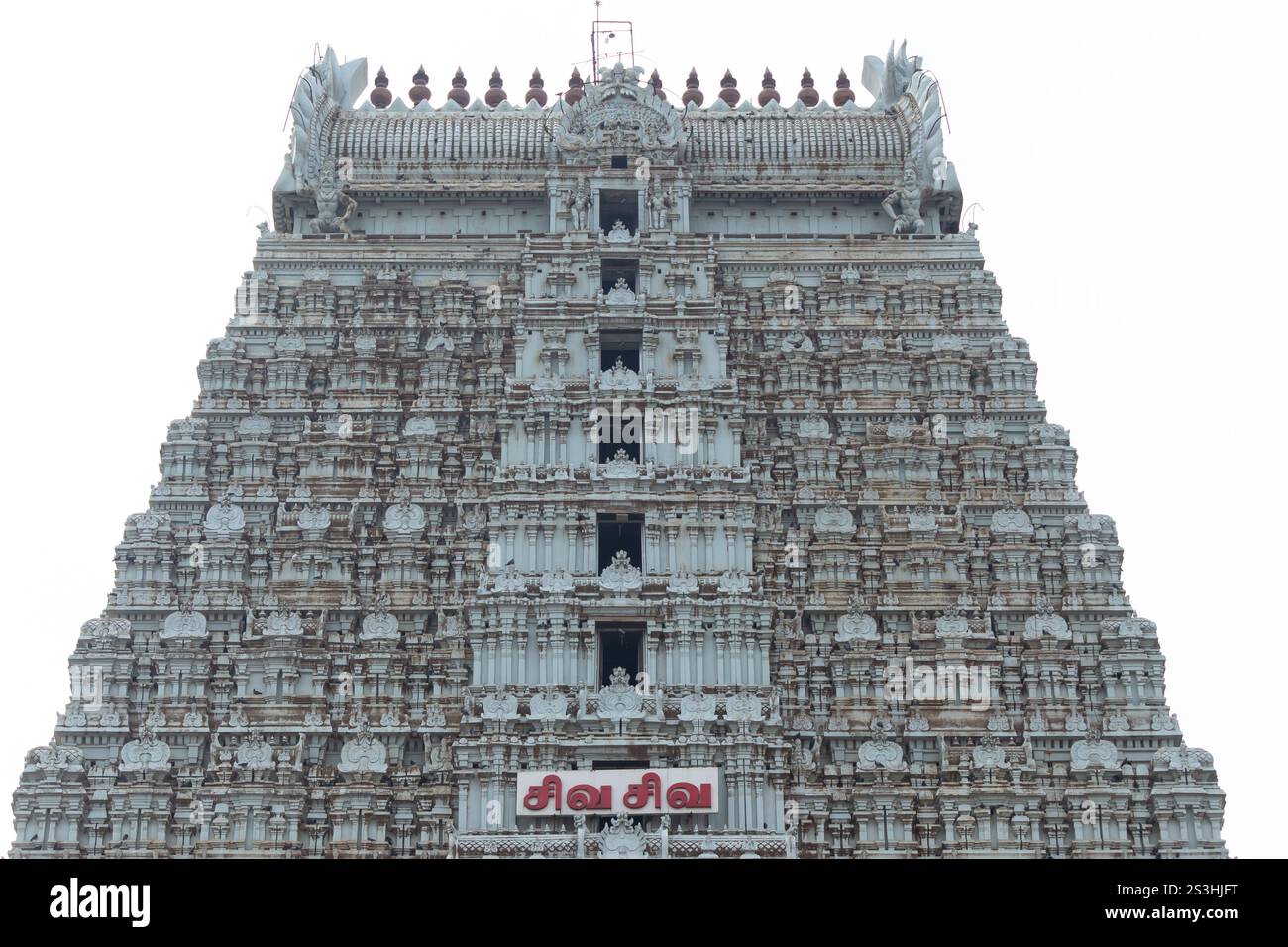 Veduta di Gopuram del Tempio di Arulmigu Annamalaiyar, del Tempio della Dinastia Chola del IX secolo chiamato anche Tempio di Arunachaleshwar, Thiruvannamalai, Tamil Nadu, India. Foto Stock