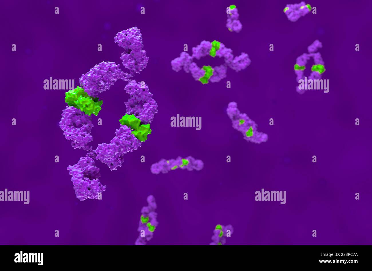 Anticorpi monoclonali (adalimumab) - visualizzazione isometrica illustrazione 3d. Foto Stock