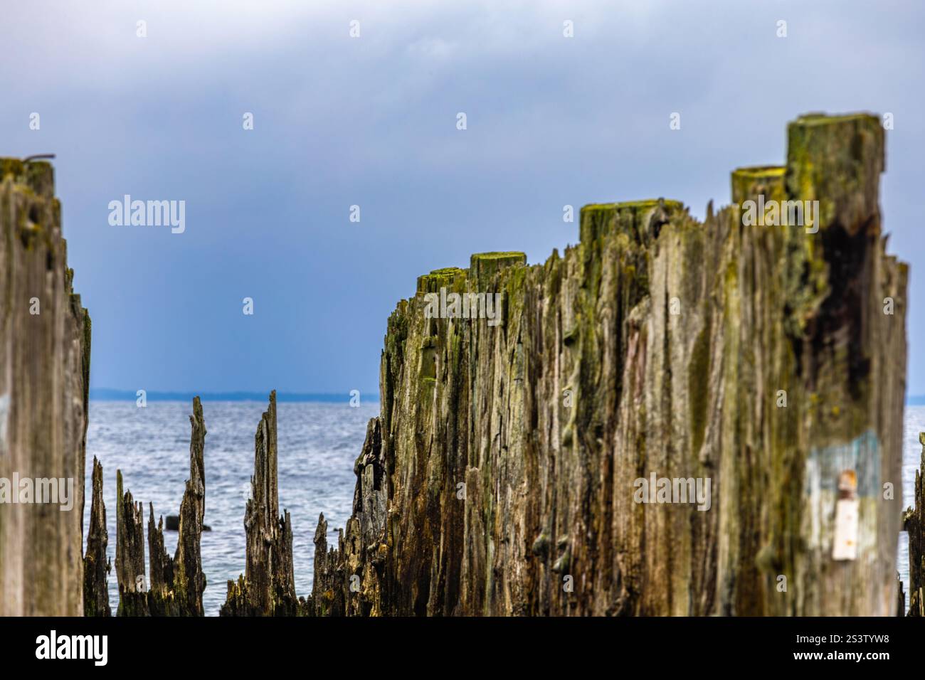 Centro di ricerca sui siluri a Gdynia, rovine di una vecchia fabbrica tedesca sul Mar Baltico, monumenti della seconda guerra mondiale Foto Stock