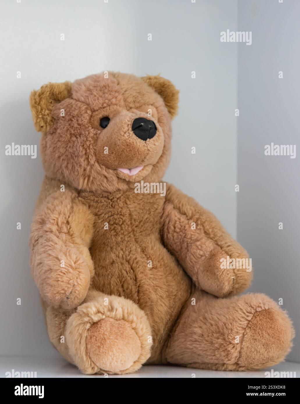 Un peluche orsacchiotto dall'espressione allegra si trova comodamente su uno scaffale in una stanza ben illuminata, circondata da elementi di arredo neutri, creando un intimo Foto Stock