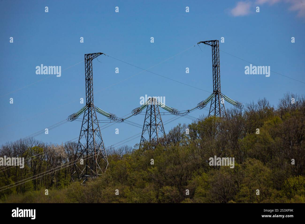 Alte torri di trasmissione della potenza si innalzano sopra lussureggianti colline verdi sotto un cielo blu limpido, mostrando infrastrutture in mezzo a dintorni naturali durante il giorno Foto Stock