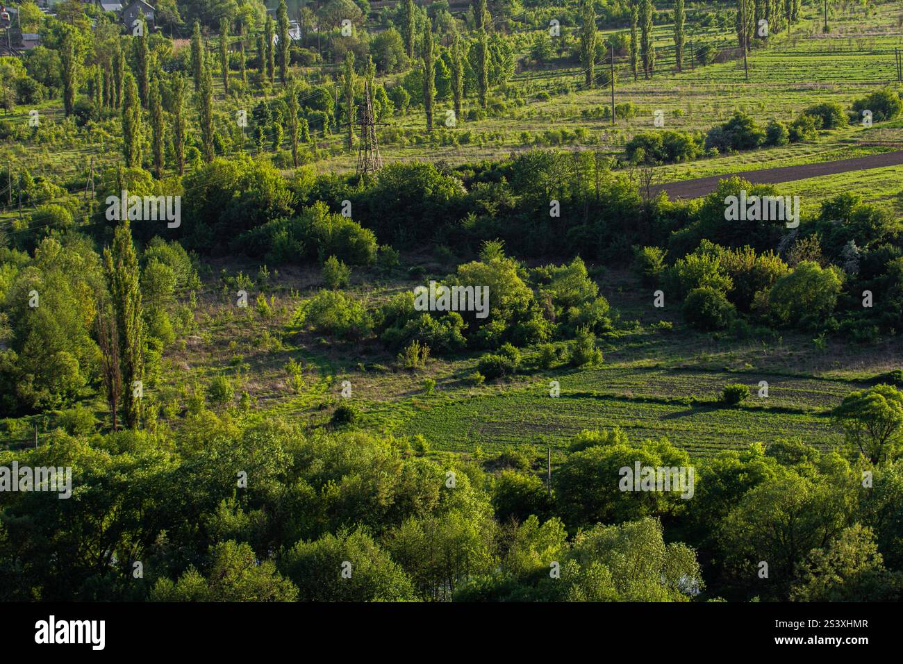 Un vivace paesaggio verde presenta colline e una ricca varietà di alberi e piante. La luce del sole illumina il terreno, mostrando il tranquillo seren rurale Foto Stock