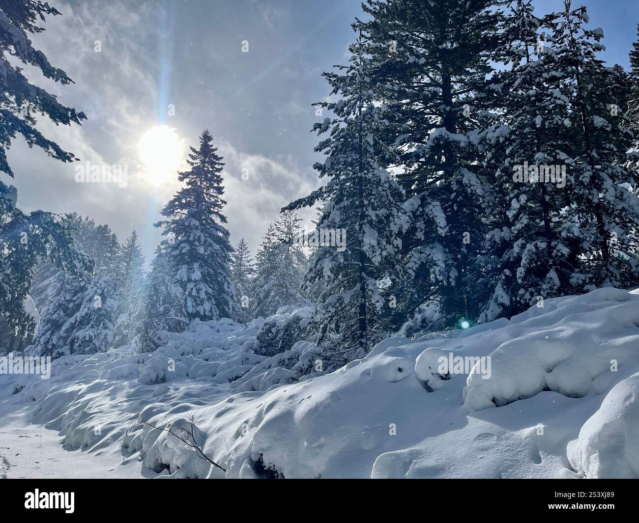 Montagna innevata - Immagine stock catturata con smartphone