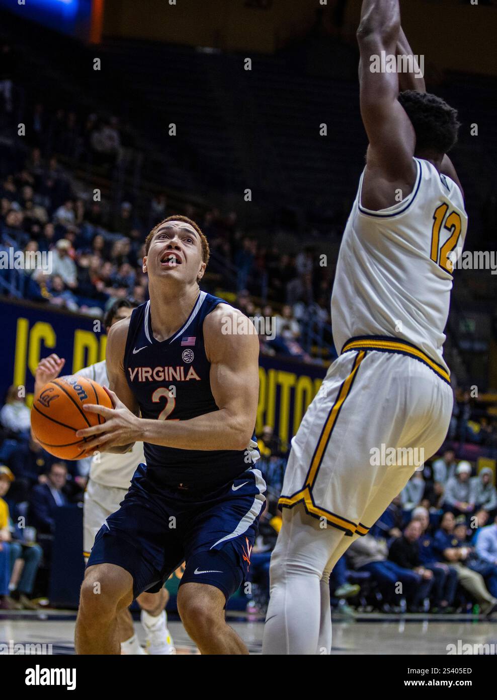 Haas Pavilion Berkeley, California, Stati Uniti. 8 gennaio 2025. L'attaccante dei Virginia Cavaliers della CALIFORNIA U.S.A. Elijah Saunders (2) va al basket durante la partita di basket maschile NCAA/ACC tra Virginia Cavaliers e California Golden Bears. La California ha battuto Virginia 75-61 all'Haas Pavilion Berkeley California. Thurman James/CSM/Alamy Live News Foto Stock