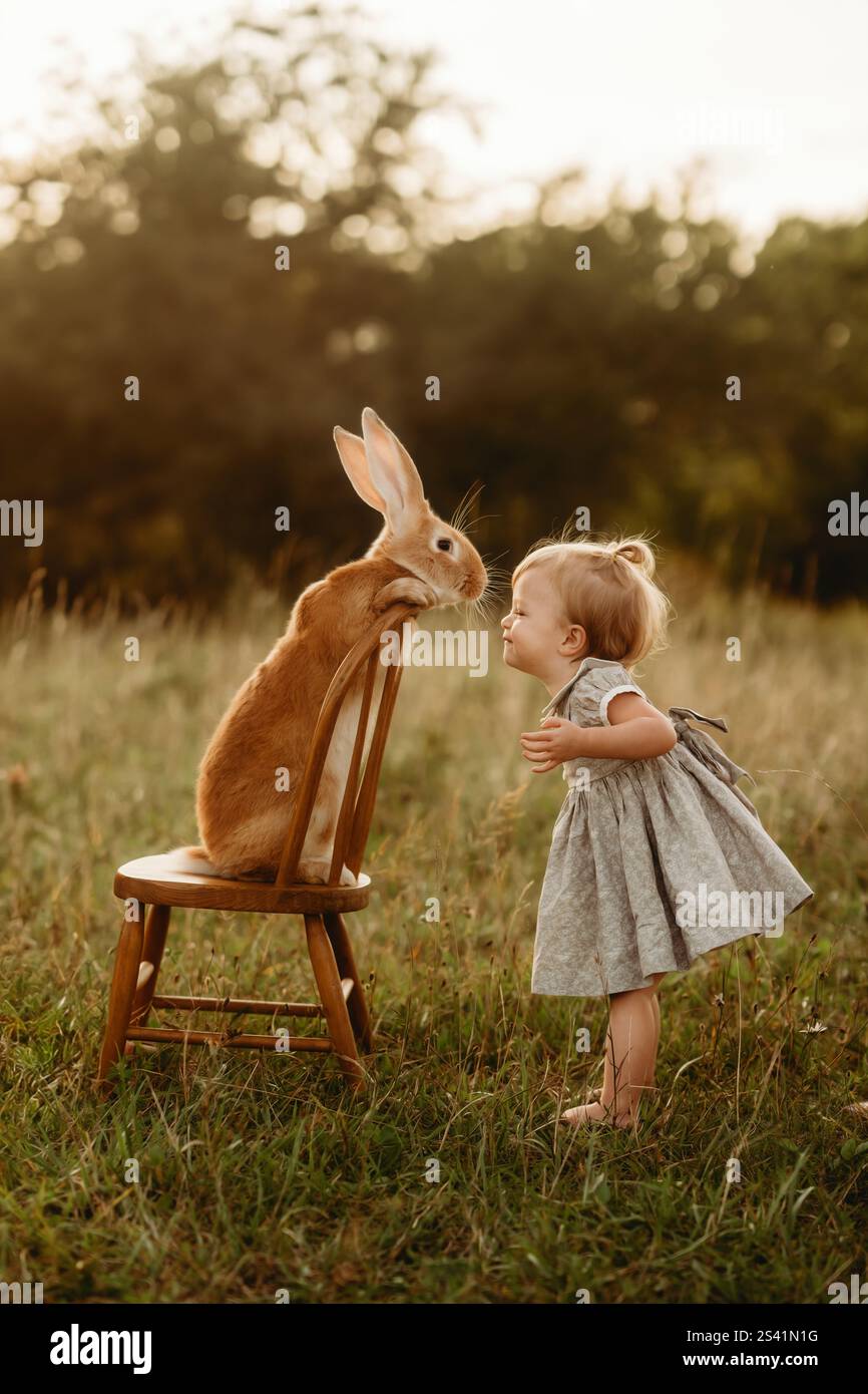 baci coniglietti con il bambino sul campo Foto Stock