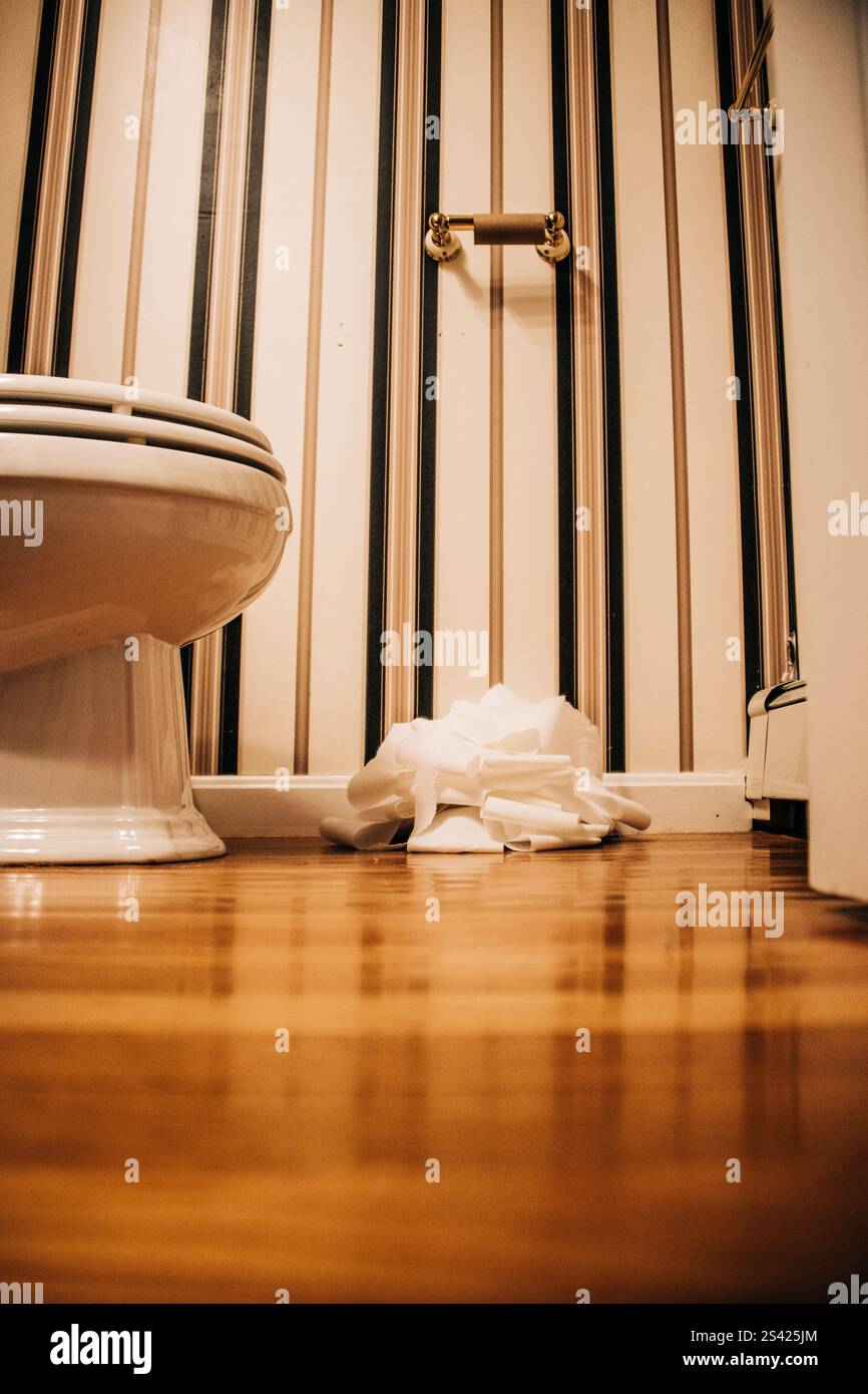 Rotolo di carta igienica vuoto con carta sparsi sul pavimento del bagno Foto Stock