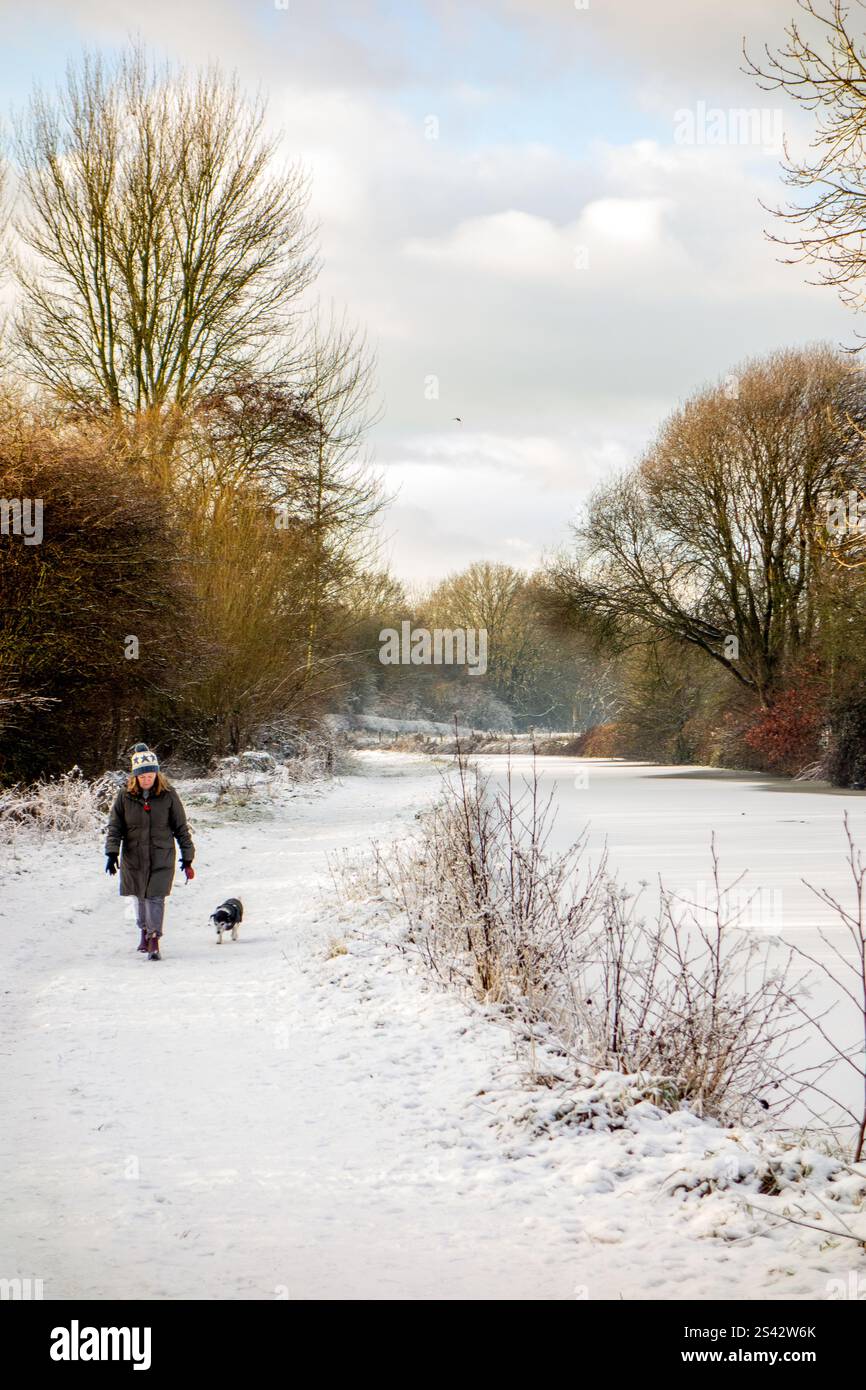 Donna che cammina con un cane lungo il sentiero ghiacciato coperto di neve invernale del canale Trent e Mersey vicino a Wheelock, Cheshire Foto Stock