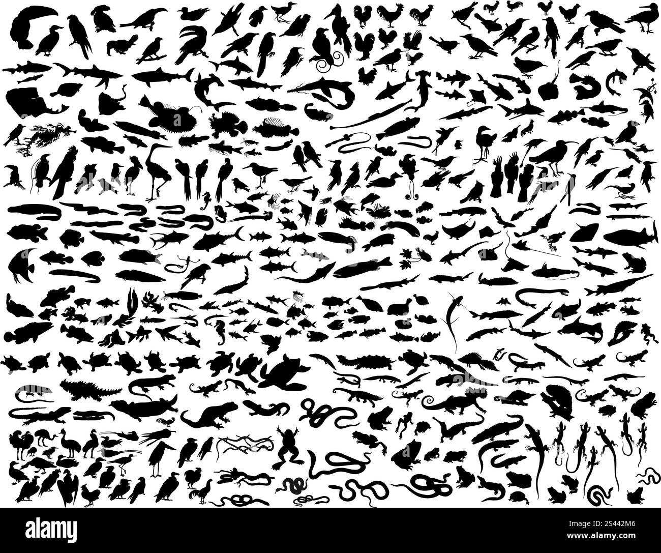 Grande raccolta di illustrazione diversi animali del vettore Illustrazione Vettoriale