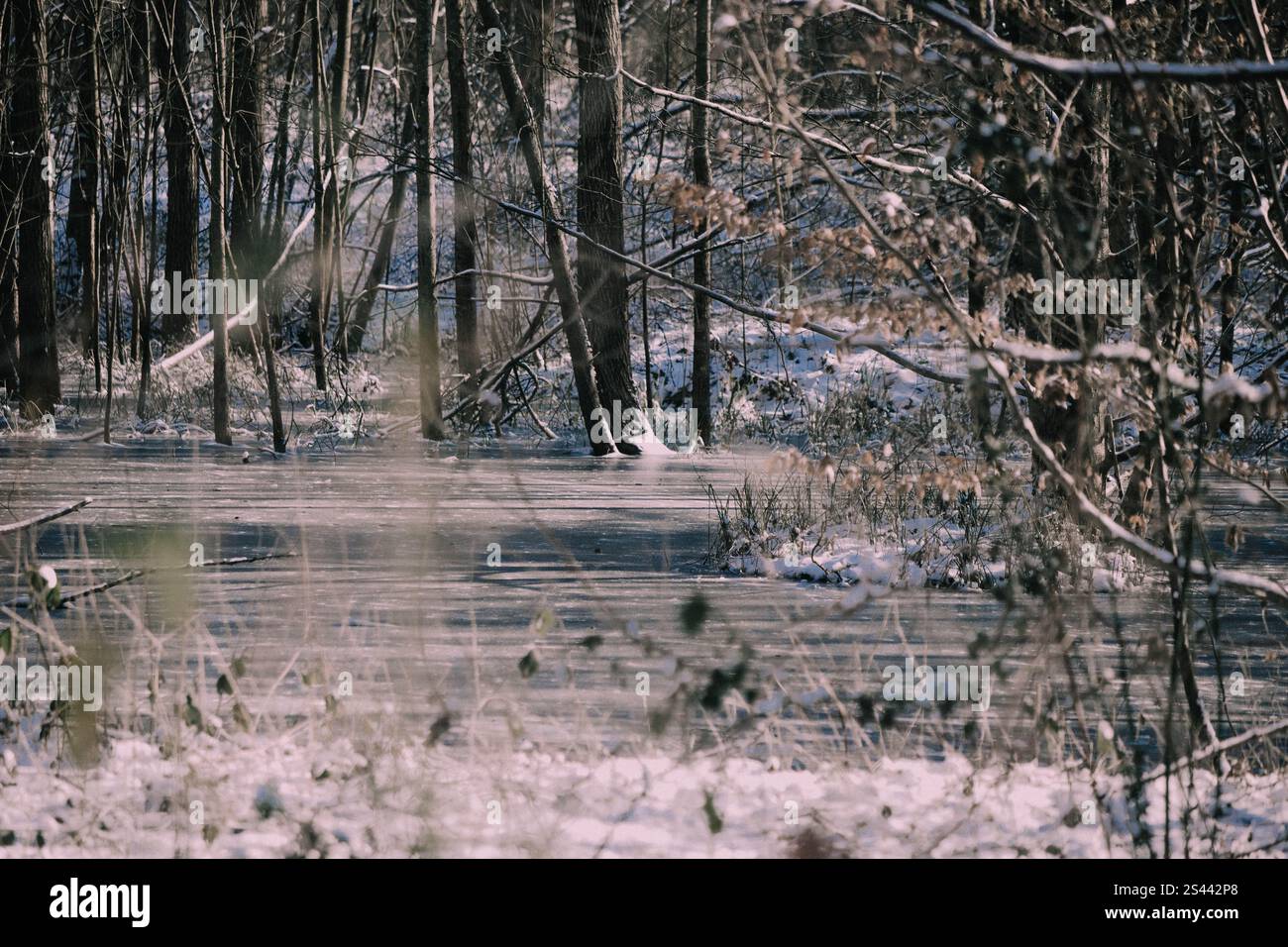 Acqua congelata Foto Stock