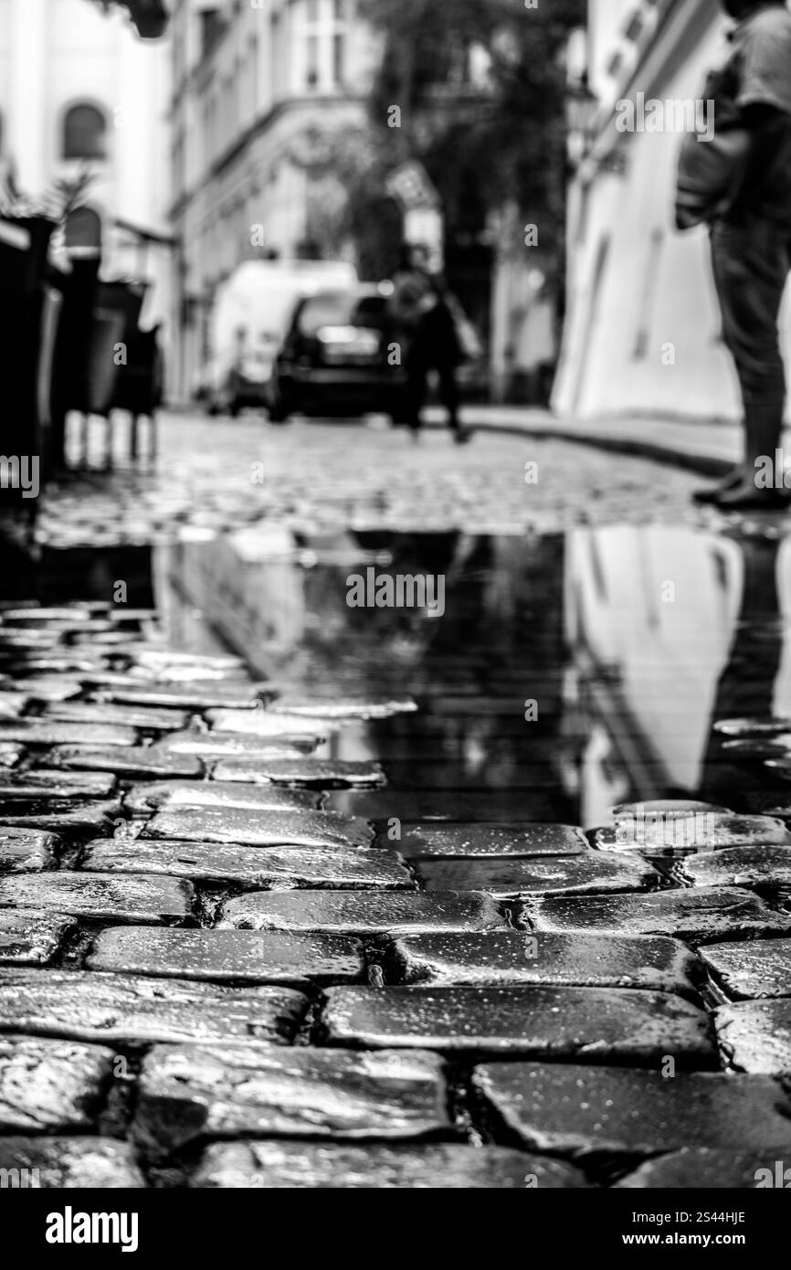 Bagnare le ciottoli e la pozza d'acqua Foto Stock