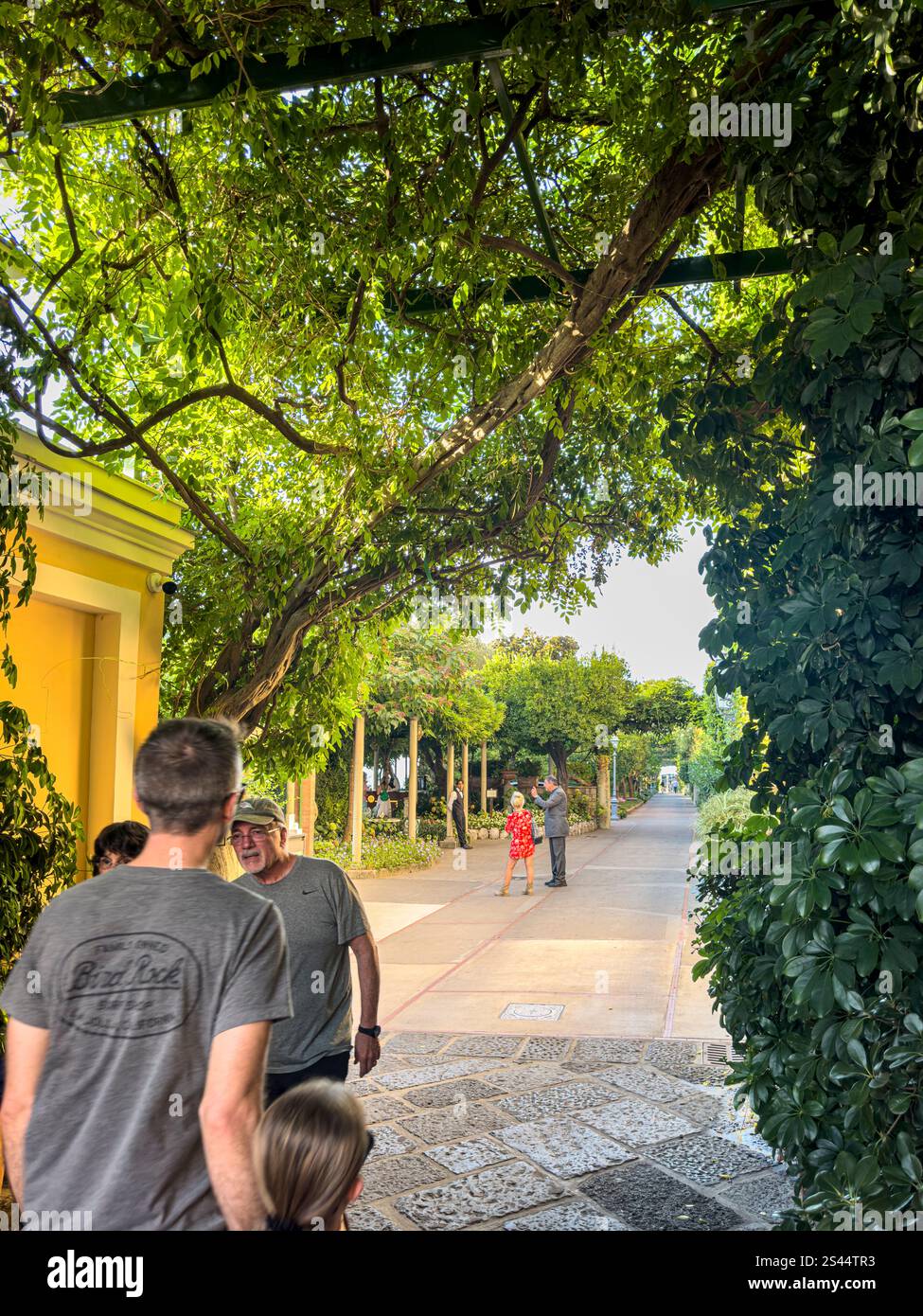 Intorno all'affollato Palazzo Jannuzzi, Sorrento, Campania, Italia: Phillip Roberts - Immagine stock catturata con smartphone