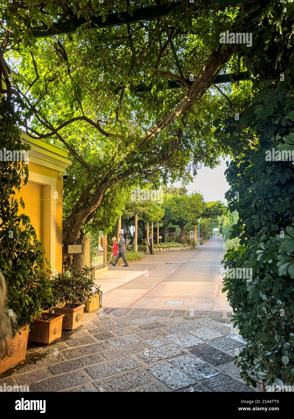 Intorno all'affollato Palazzo Jannuzzi, Sorrento, Campania, Italia: Phillip Roberts - Immagine stock catturata con smartphone