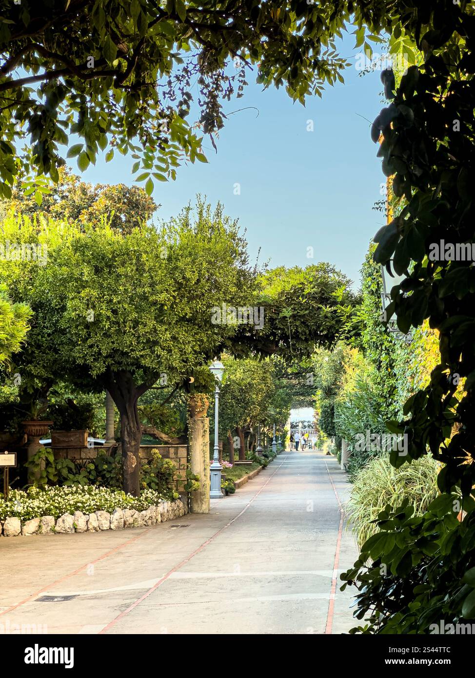 Intorno all'affollato Palazzo Jannuzzi, Sorrento, Campania, Italia: Phillip Roberts - Immagine stock catturata con smartphone