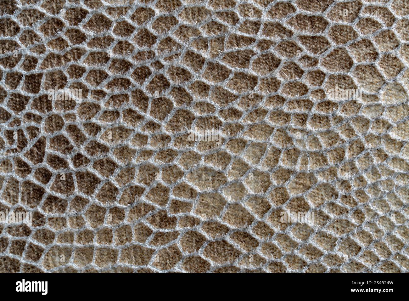 Sfondo e trama di un pezzo di tessuto che imita la pelle di serpente, primo piano Foto Stock