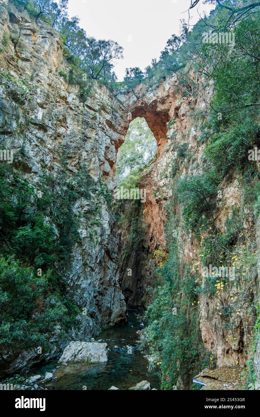 God's Bridge nelle cascate Akchour, Marocco Foto Stock