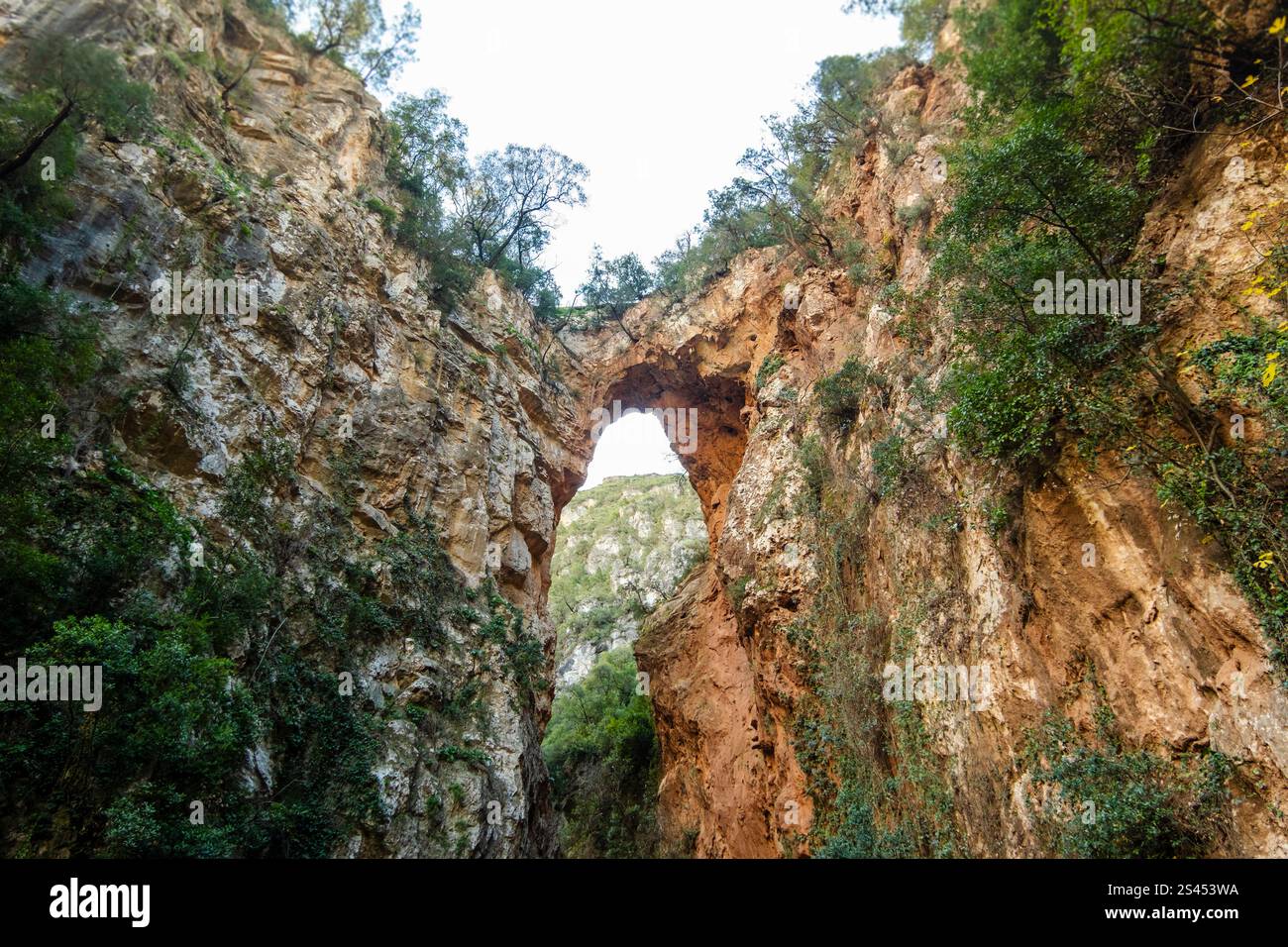 God's Bridge nelle cascate Akchour, Marocco Foto Stock