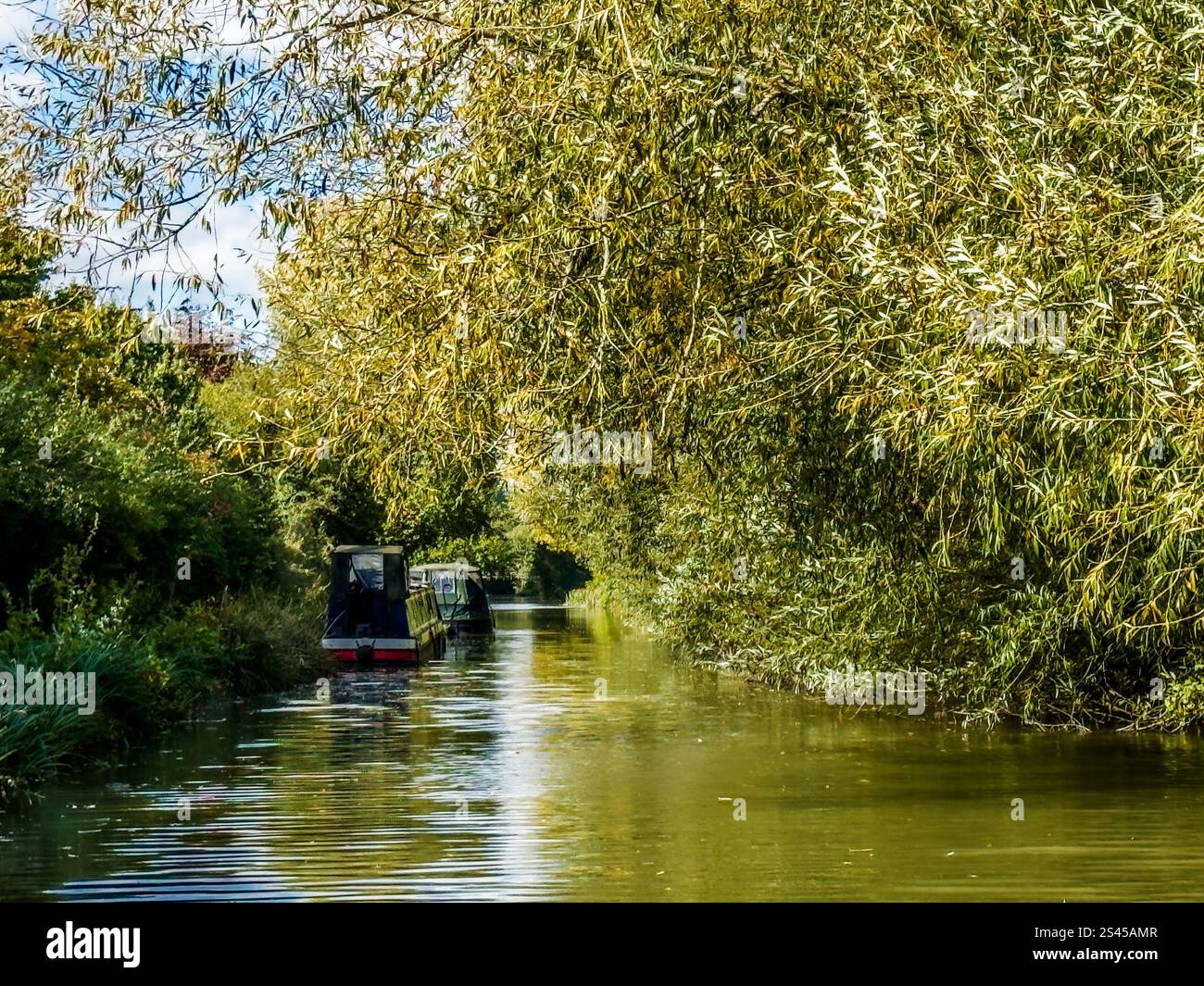 Case galleggianti lungo il canale Kennet e Avon vicino a Hungerford nel Berkshire. Foto Stock