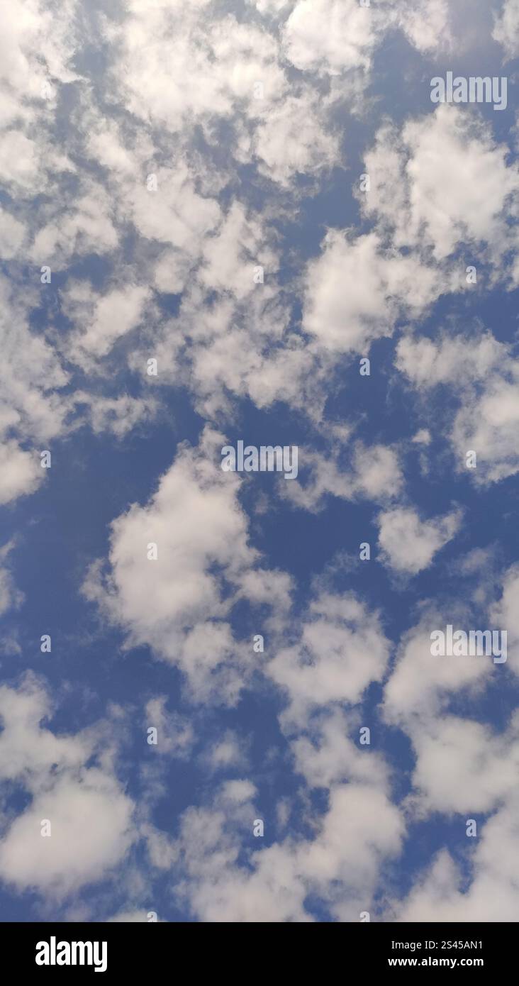 Nuvole bianche e soffici si formano su un cielo blu profondo, portando la promessa di una bella giornata di sole Foto Stock