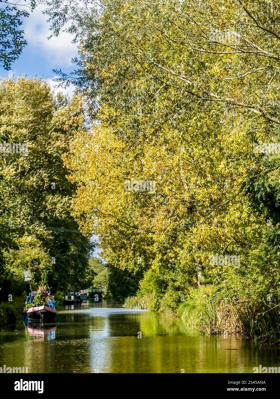 Case galleggianti lungo il canale Kennet e Avon vicino a Hungerford nel Berkshire. Foto Stock