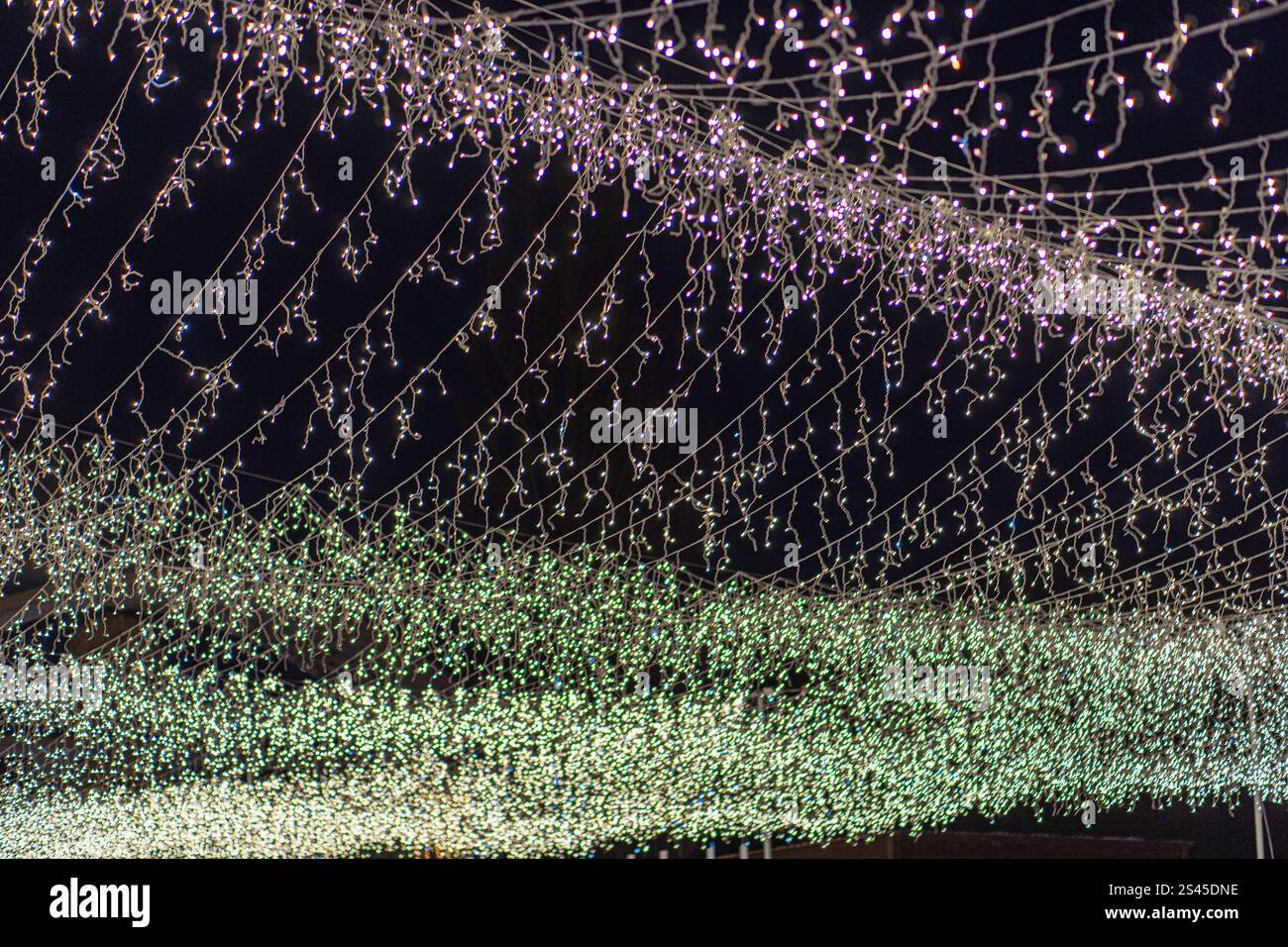 Scena festosa notturna con file organizzate di luci sospese, che probabilmente raffigurano decorazioni natalizie, l'immagine è realistica e presa da un basso Foto Stock