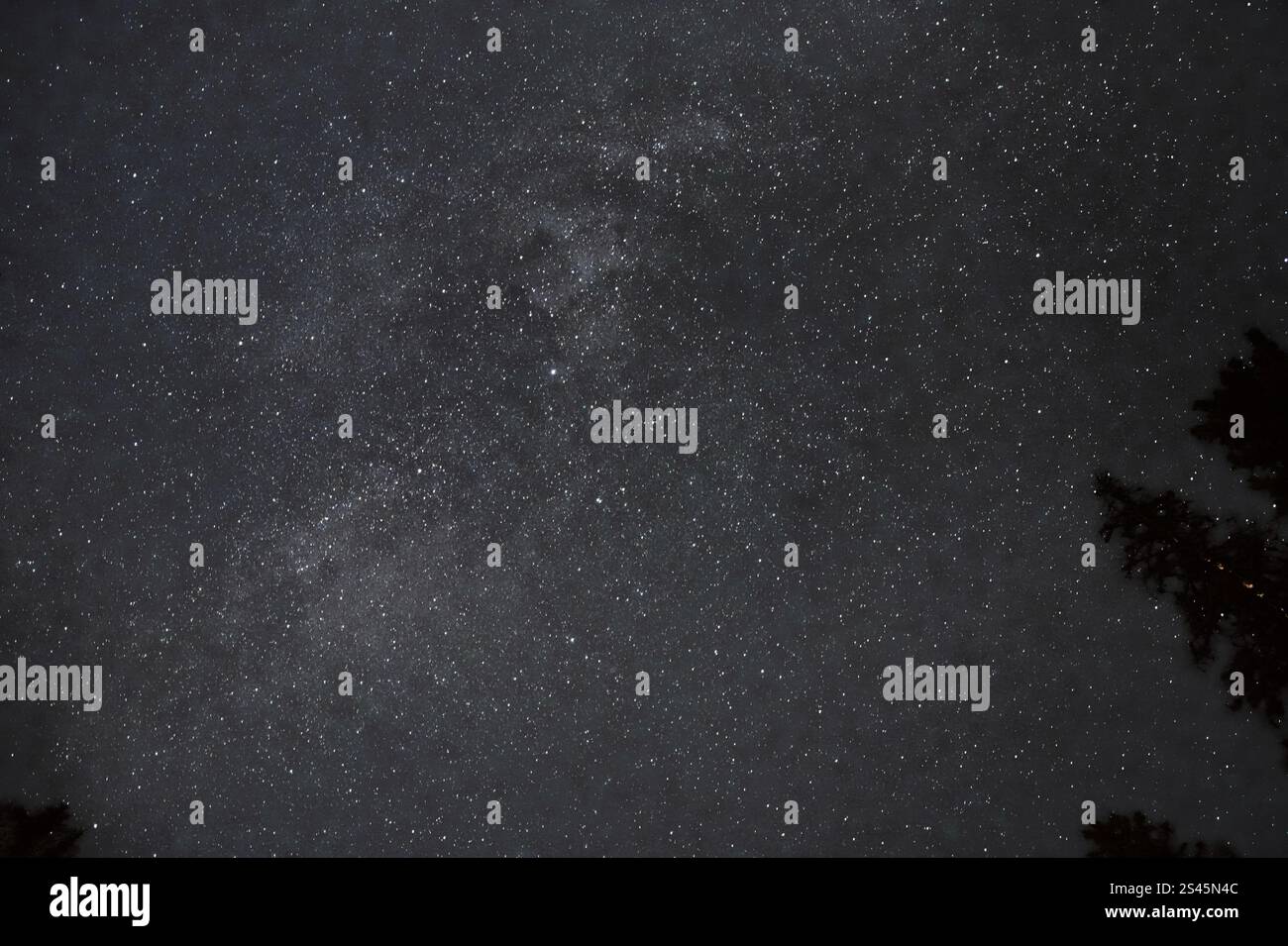 Un paesaggio notturno stellato mozzafiato con un cielo limpido pieno di stelle, adagiato su un orizzonte sereno, che mostra la bellezza del cosmo. Foto Stock