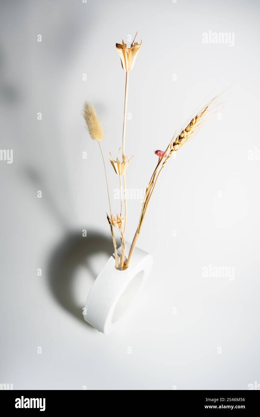 concetto minimalista di decorazione a foglie secche, una perfetta combinazione spaziale Foto Stock