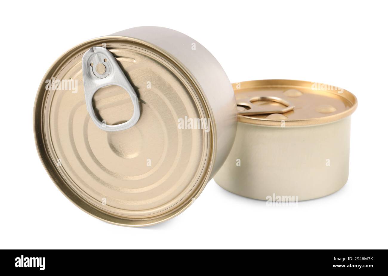 Alimenti per animali domestici in lattine di latta isolati su bianco Foto Stock