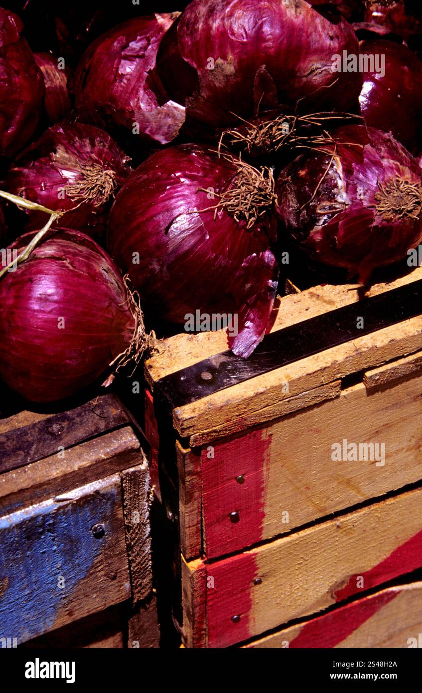 Cipolle rosse fresche esposte su casse di legno colorate presso il suk di Chefchaouen, Chefchaouen, Marocco, mettendo in risalto i prodotti locali e il mercato tradizionale. Foto Stock