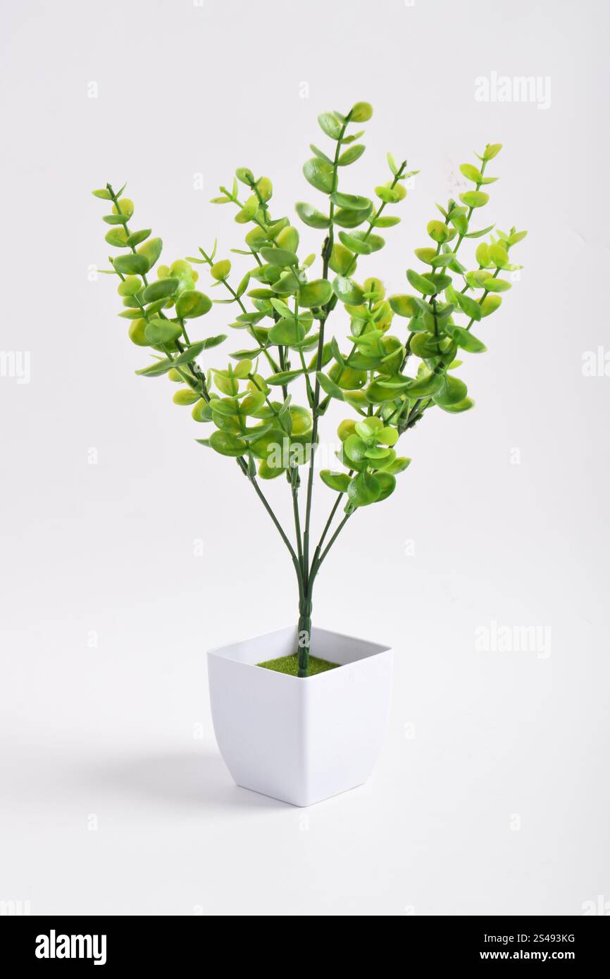 Piccolo albero artificiale in una pentola isolata su sfondo bianco. Immagine concettuale per l'interior design e la decorazione di casa e ufficio Foto Stock