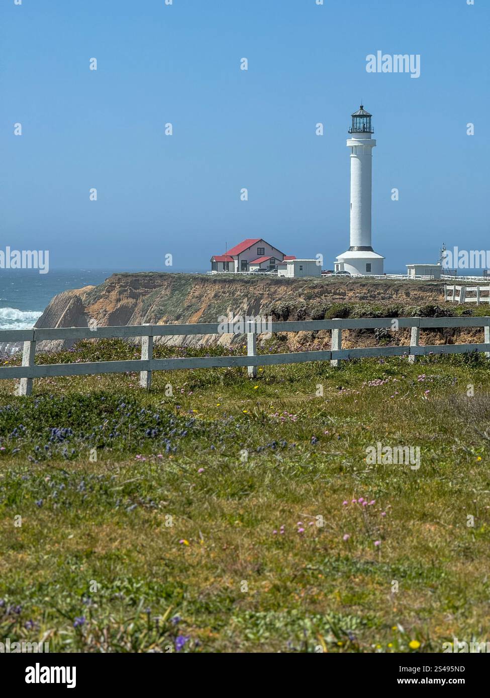 Paesaggio presso il faro Point Arena a Point Arena, California. Foto Stock