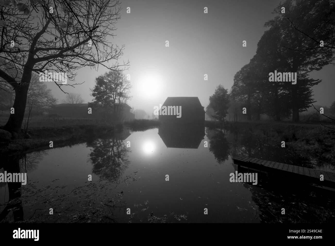 Sole mattutino sullo stagno della tenuta in una mattinata nebbiosa a Gut Othenstorf, Othenstorf vicino a Rehna, Meclemburgo-Vorpommern, Germania, Europa Foto Stock