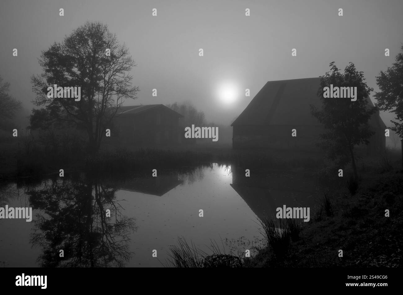 Sole mattutino sullo stagno della tenuta in una mattinata nebbiosa a Gut Othenstorf, Othenstorf vicino a Rehna, Meclemburgo-Vorpommern, Germania, Europa Foto Stock