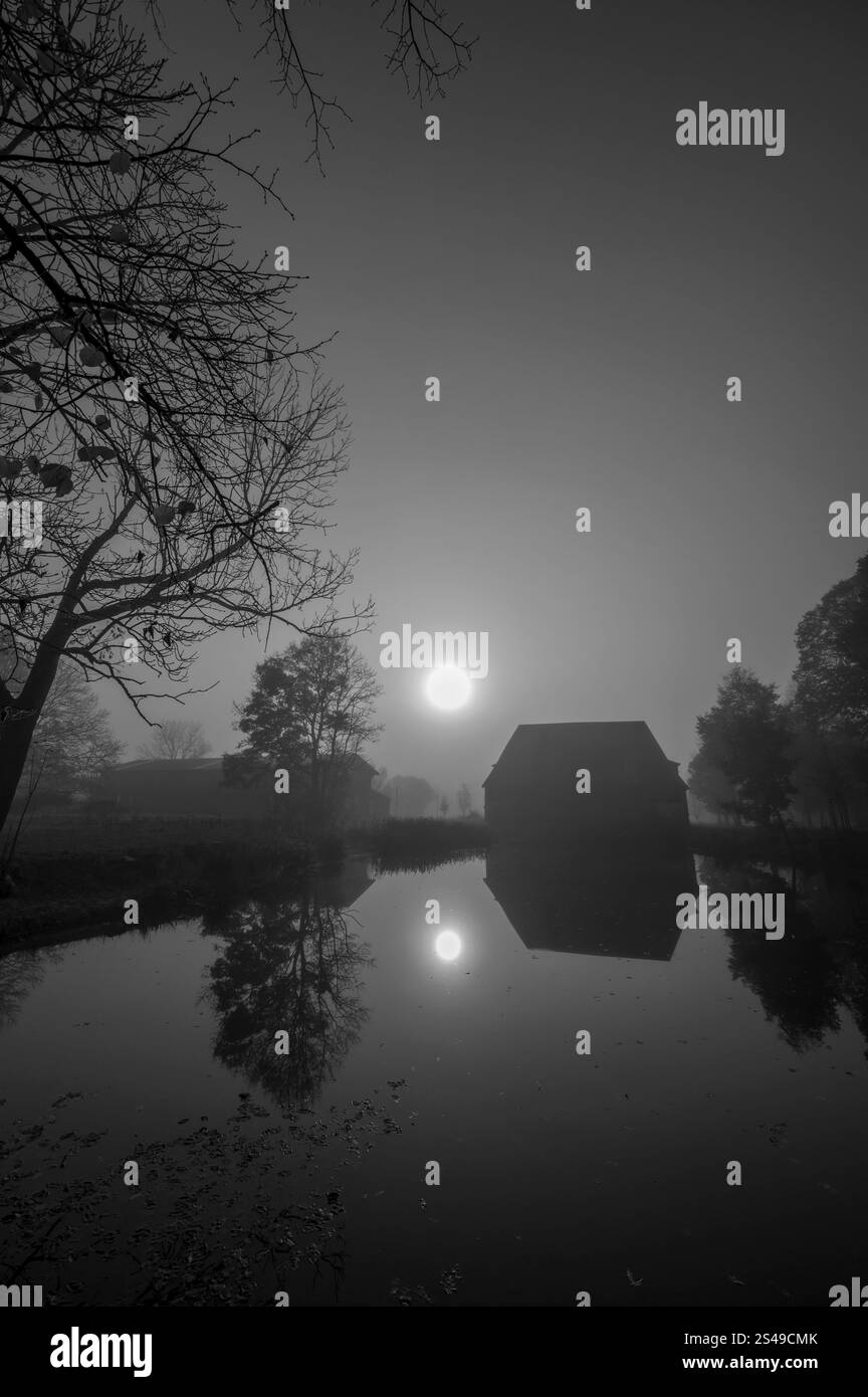 Sole mattutino sullo stagno della tenuta in una mattinata nebbiosa a Gut Othenstorf, Othenstorf vicino a Rehna, Meclemburgo-Vorpommern, Germania, Europa Foto Stock
