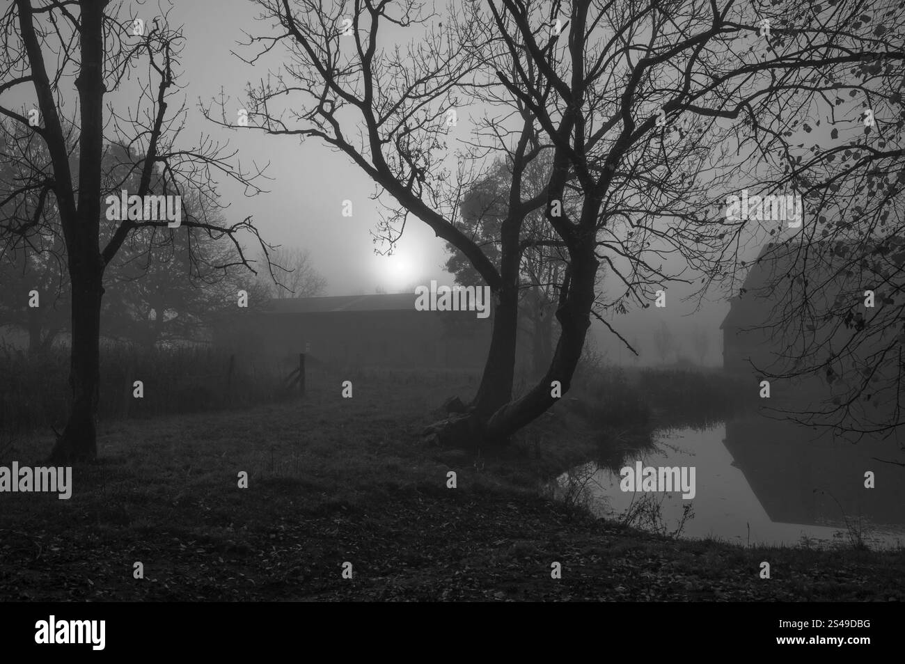 Sole mattutino in una mattinata nebbiosa a Gut Othenstorf, Othenstorf vicino a Rehna, Meclemburgo-Vorpommern, Germania, Europa Foto Stock