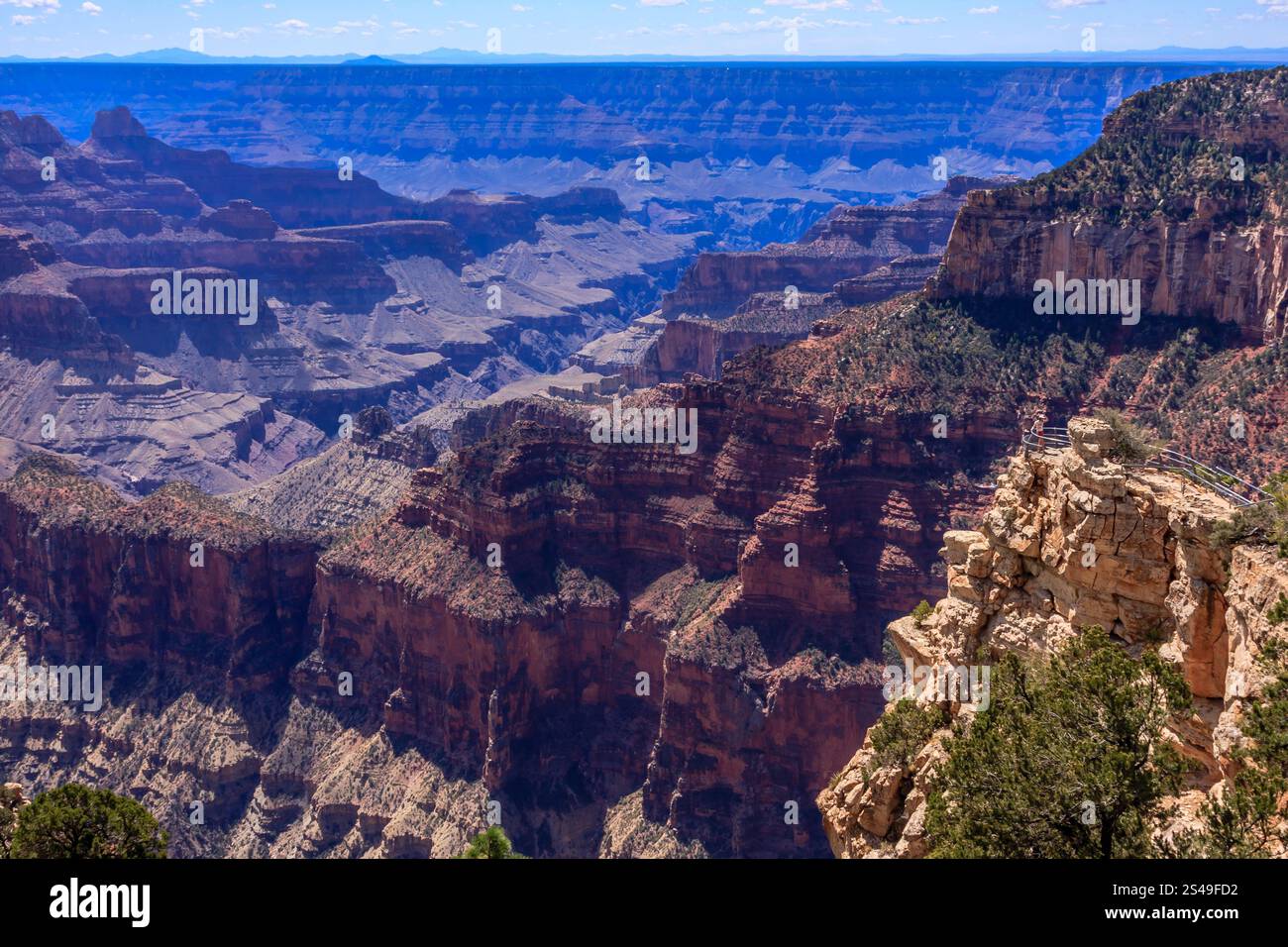 Il Grand Canyon National Park è uno dei parchi nazionali più antichi degli Stati Uniti e si trova in Arizona. All'interno del parco si trova il Grand Canyon, un gorg Foto Stock