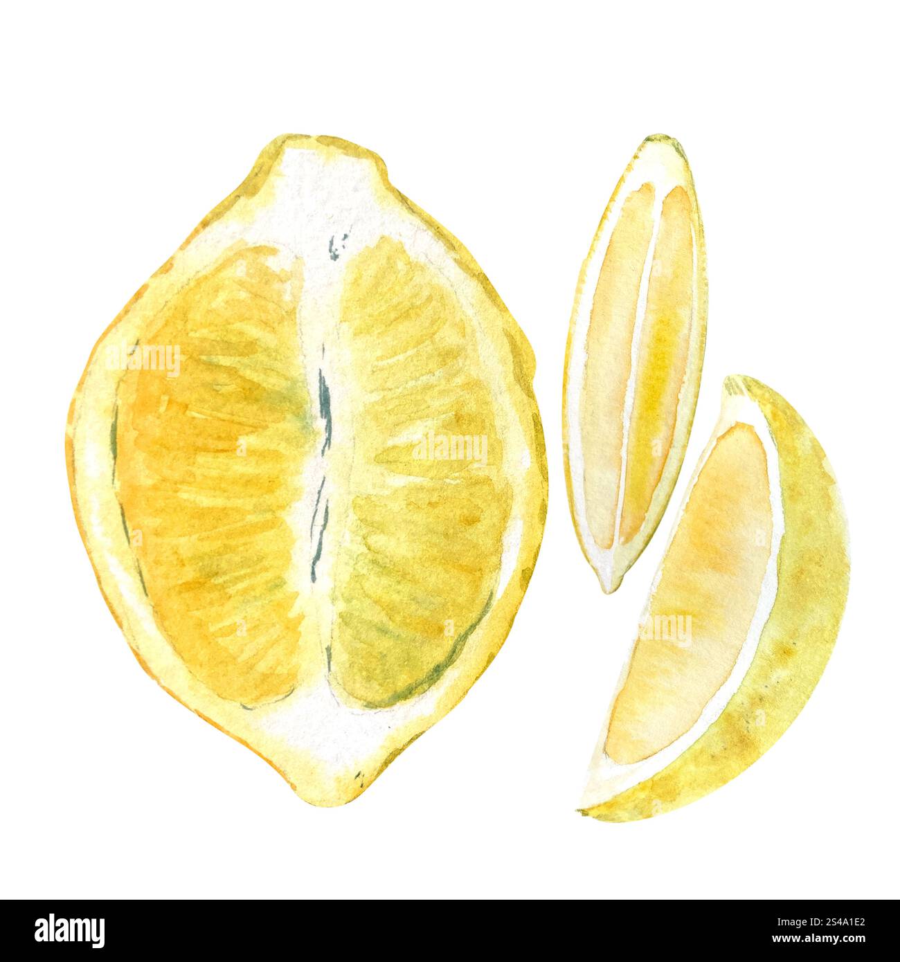Semi di limone e due fette di acquerello isolate su bianco. Arte disegnata a mano di alta qualità per la progettazione di alimenti, ricette, libri di cucina, pacchetti, menu, cibo Foto Stock