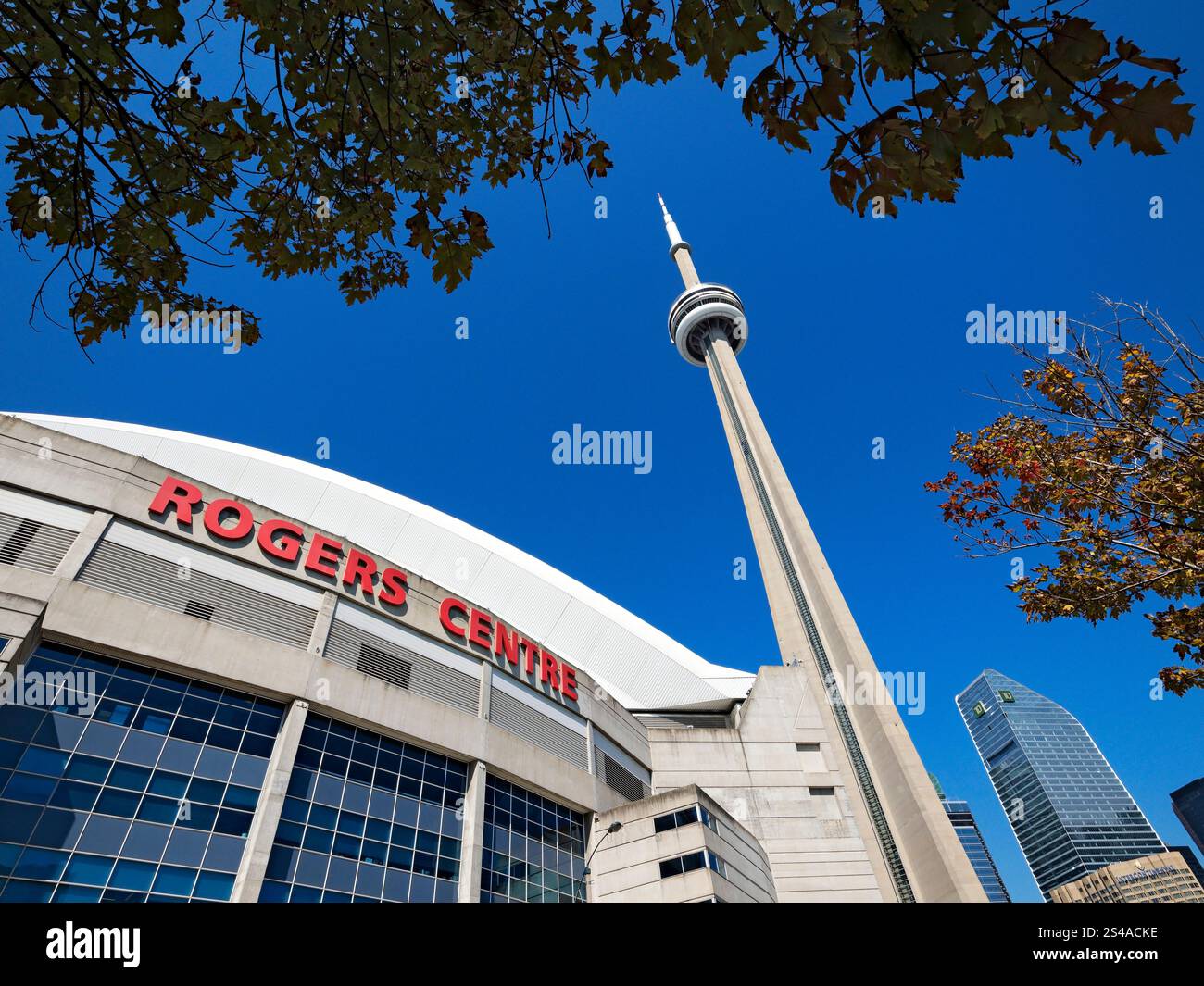 Toronto Canada / Toronto's Rogers Centre un punto di riferimento sportivo e sede dei Toronto Blue Jays, nel centro di Toronto. Foto Stock Toronto Canada / Toronto's Rogers Centre un punto di riferimento sportivo e sede dei Toronto Blue Jays, nel centro di Toronto. Foto Stock