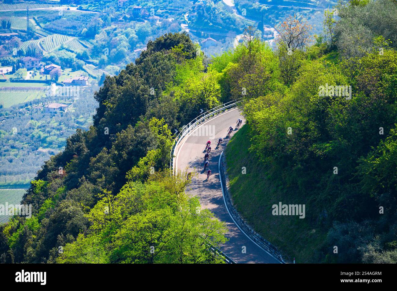 Ciclista su strada mentre gareggia professionalmente in Italia. Pedalare dall'alto nella foresta verde Foto Stock